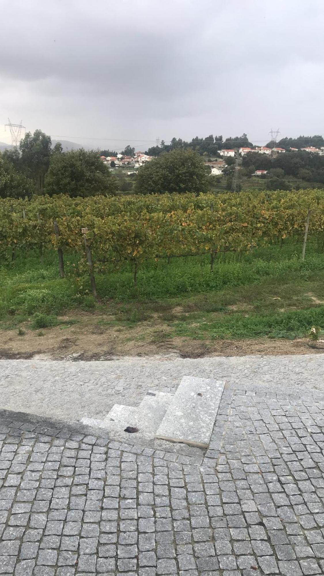 Casa Nova Villa Guimaraes Luaran gambar